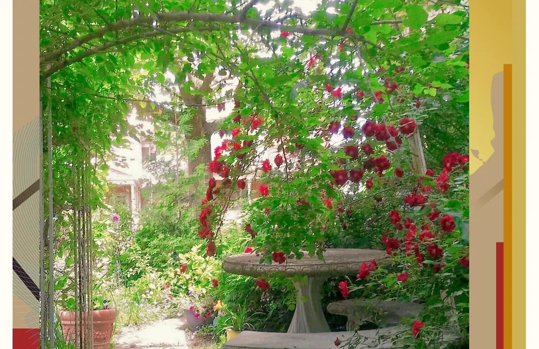 Aaron House Of Niagara Falls-1